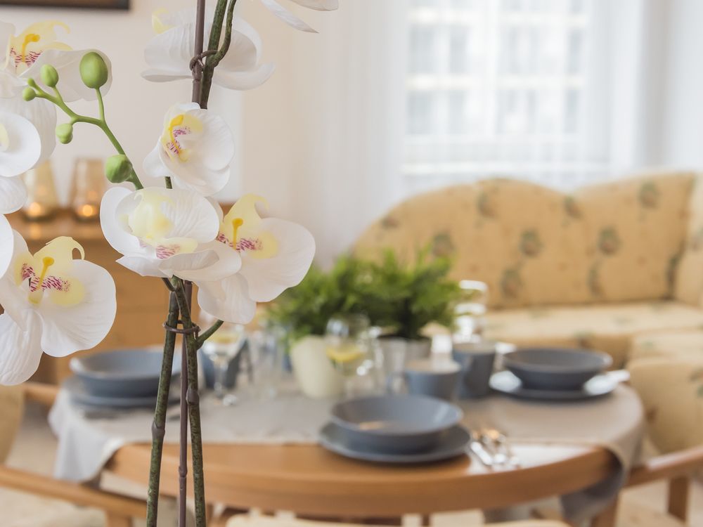 Polonia Apartamenty โควอบเซก ภายนอก รูปภาพ